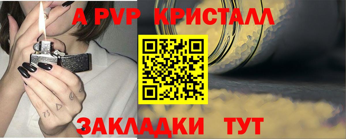 Альфа ПВП СК Елизово