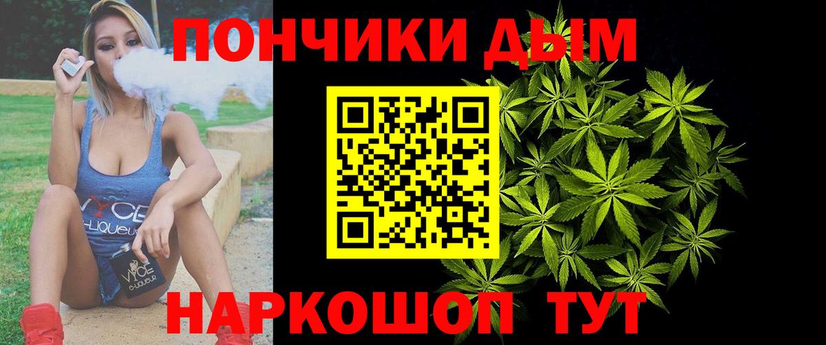 Бошки марихуана план Елизово